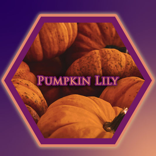 Pumpkin Lily